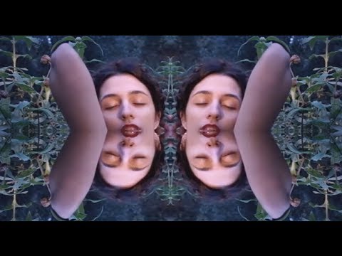 ELECTROSEXUAL - CRYSTAL FLESH  (Official Video)