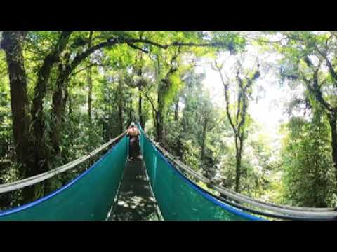 Heliconias Rainforest Lodge, Alajuela, Bijagua de Upala, Costa Rica