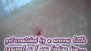 Under The Microscope - Just A Scratch