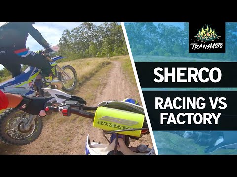 2021 Sherco ‘Racing’ vs ‘Factory’ Models