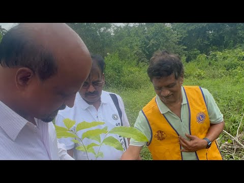 Green Environment Tree Plantation Drive by LCB Brigade