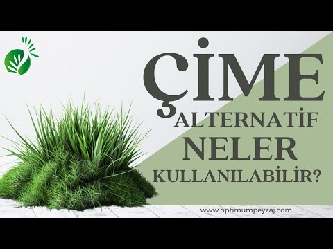 LANDSCAPE IDEAS | WHAT CAN BE USED AS AN ALTERNATIVE TO GRASS? ALTERNATIVE PRODUCTS TO GRASS?