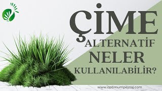 PEYZAJ FİKİRLERİ | ÇİM ALANLARA ALTERNATİF OLARAK NELER KULLANILABİLİR