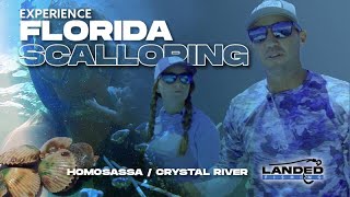 Florida Scalloping Crystal River | Homosassa Fishing