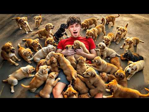 SPENDING A DAY CARING FOR 20 PUPPIES!? - Ahmet Can Dündar