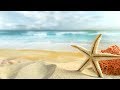 Peaceful music, Relaxing music, Instrumental Music "Summer Ocean" by Tim Janis