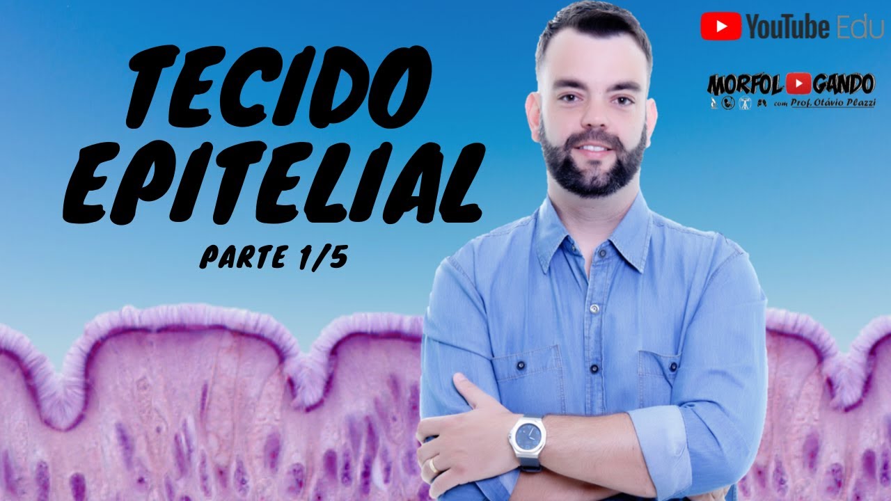 Tecido Epitelial: Parte 1/5 - Generalidades do Tecido; Lâmina e Membrana Basal