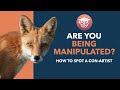 How To Spot A Con Artist Are You Being Manipulated