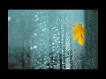 Wind Rain 2025 All Rights Reserved
