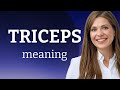 Triceps What Is TRICEPS Meaning