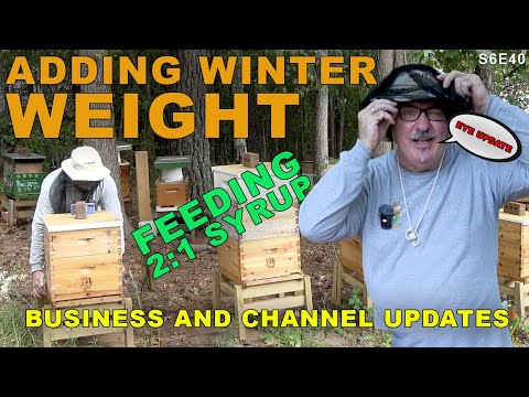 Adding weight with 2:1 sugar syrup |  Bug Farmer updates.