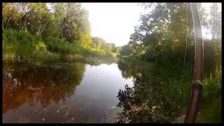 preview picture of video 'Chub Fishing in Estonia #GoPro Hero 2'