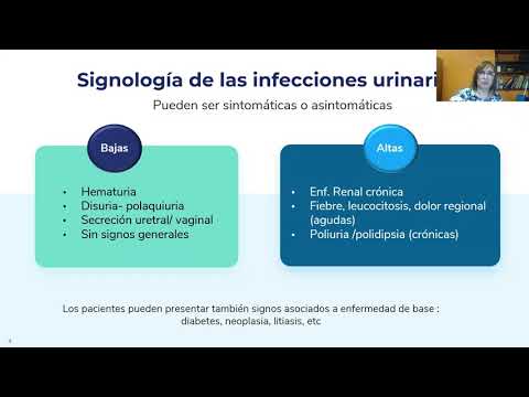 Manejo de las Infecciones Urinarias en Perros y Gatos, Dra Estela Molina