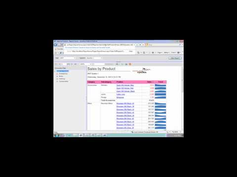 SSRS Part 7 Demo2 - Embedding Reports.mp4