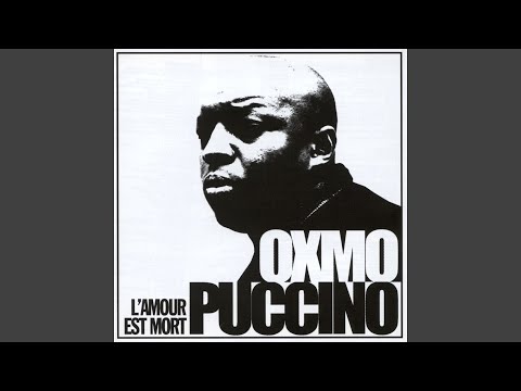 Les raisons du crime (feat. Intouchable)