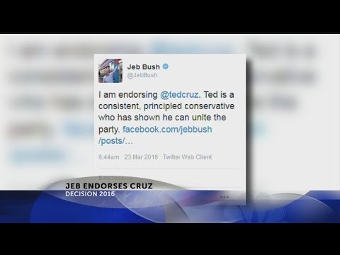 Jeb Bush endorses Ted Cruz