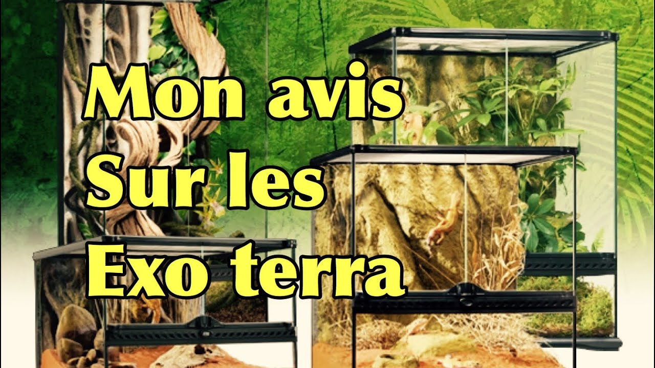 Mon avis sur les terrariums exo terra
