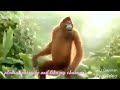 Commedy Video New Marathi Status Shantabai