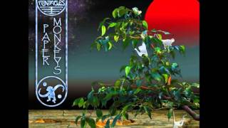 ozric tentacles - lost in the sky.wmv