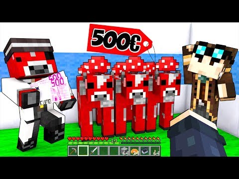 IL MIO NEGOZIO DI MOOSHROOM DA 500€ SU MINECRAFT!!