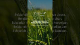 Download lagu penyejukhatipenenangjiwa//katakatahariini//@dtamunawarotulhuda6692 mp3