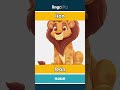 lion - león video thumbnail