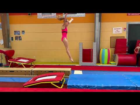 Imposés FFGYM - Niveau 1 - Saut