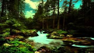 I Told The Brook (Billy Thorpe)