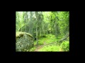 Vilse i skogen lyrics 