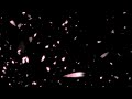 Poo Pookkum Maasam Varusham Padhinaaru Tamil Song
