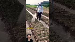 Download lagu Creative farmers create watering tools to make it easier to water agricultural land #agriculture ... mp3