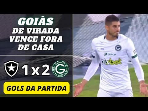 Botafogo 1 x 2 Goiás | Gols da Partida | Brasileirão Série A