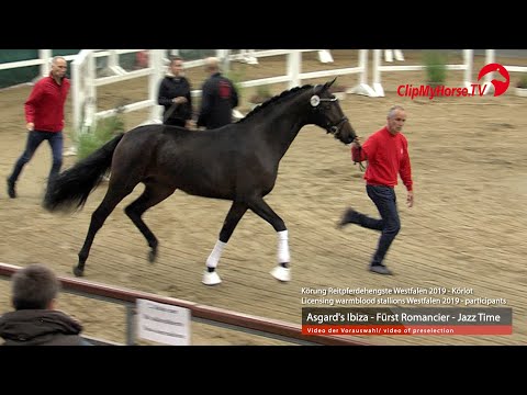 Hengst v. Asgard`s Ibiza - Fürst Romancier - Jazz Time