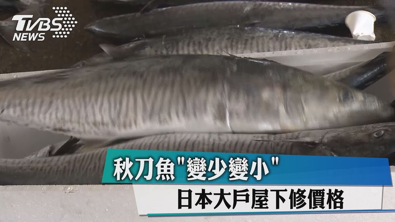 日餐廳秋刀魚「降價」 竟因台、陸捕撈搶光大魚