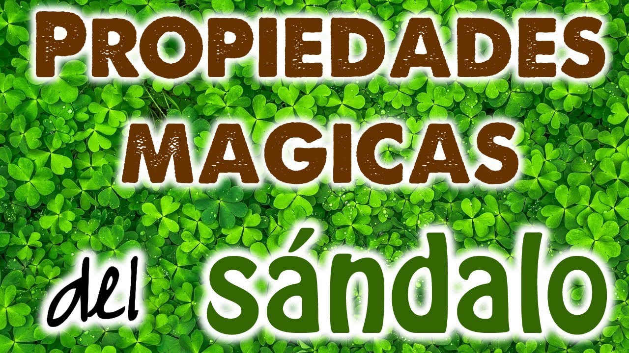 Watch PROPIEDADES MÁGICAS del SÁNDALO 🌱✨ RECETAS EFECTIVAS para LIMPIAR, PROTEGER y DESBLOQUEAR 💥✨ Now PROPIEDADES MÁGICAS del SÁNDALO 🌱✨ RECETAS EFECTIVAS para LIMPIAR, PROTEGER y DESBLOQUEAR 💥✨