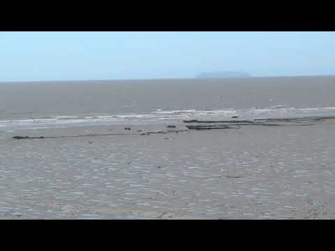 The Wentloog sea wall