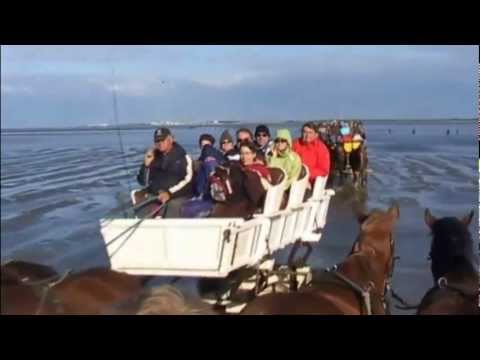 Neuwerk Tour mit Maritimus und Wollecux