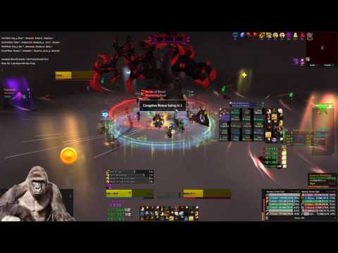 Memes and Dreams vs Mythic Xavius (Holy Pally POV)