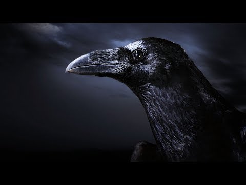 Anna Polka - Ernie Kucera - Nebraska Number One Polka Band