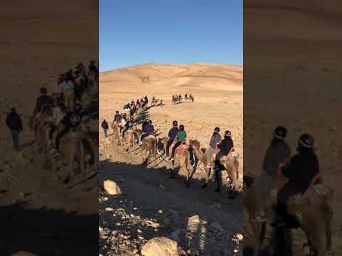 Camel Riding UGA/GT Birthright '19-'20