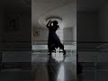 dancing breaks the stress into clamness #dance #myway #peace #soul
