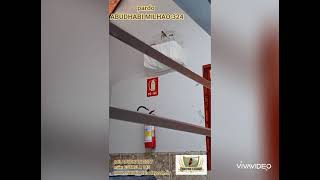 ELSHADAY-324 pardo 