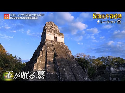 マヤの建物の発見は、これまでの知識すべてに疑問を投げかけます