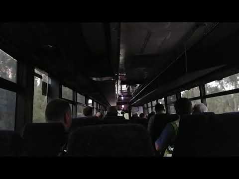 Hillsbus Foundry Rd m/o 7366 - Volvo B10M Mk IV 14.5m/Custom Coaches 510