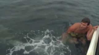 Diving with Sharks in a BIRD CAGE goes SO CLOSE to Disaster