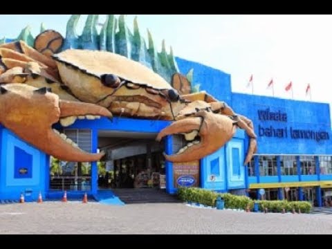 Balok Apung Wbl Kaskus Balok Apung Wbl Kaskus