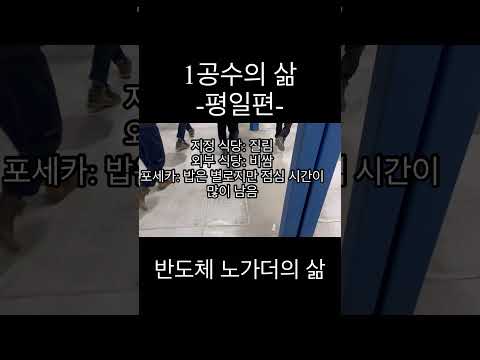 1공수의 삶 -평일 편- 24살 반도체 현장 노가더의 하루 일과
