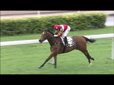 JOAO MOREIRA Canter-ino JUMBO LUCK