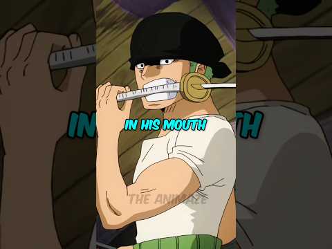 Why Zoro Holds Third Sword in His Mouth?