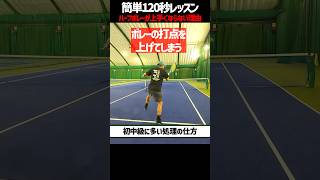 【忙しい人向けテニスレッスン】初中級者がやりがちなハーフボレーの処理〈ぬいさんぽテニス（Tennis）〉 #テニス #テニスレッスン #tennis